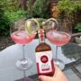 Yorkshire Rhubarb And Sweet Cicely Flavoured Gin, thumbnail 1 of 6