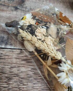 Flower Craft Pack Autumn Mixed Dried Flowers, 2 of 2