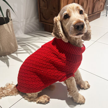 Red Cable Knitted Jumper, 3 of 5