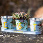 Floral Personalised Trio Of Planters, thumbnail 3 of 3