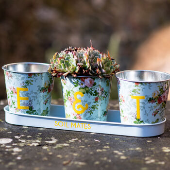Floral Personalised Trio Of Planters, 3 of 3