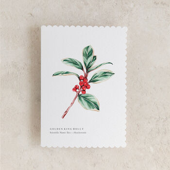 Holly Botanical Watercolour Greetings Card, 2 of 2