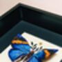 Realistic Handmade Faux Butterfly Taxidermy Embroidery, thumbnail 5 of 6