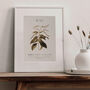Birth Flower Wall Print 'Lily Of The Valley' For May, thumbnail 7 of 9