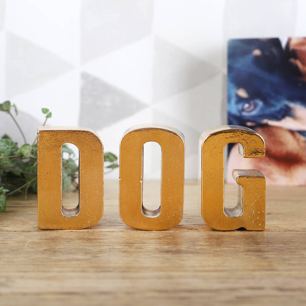 24k Gold Plated Personalised Letters By Segment 9