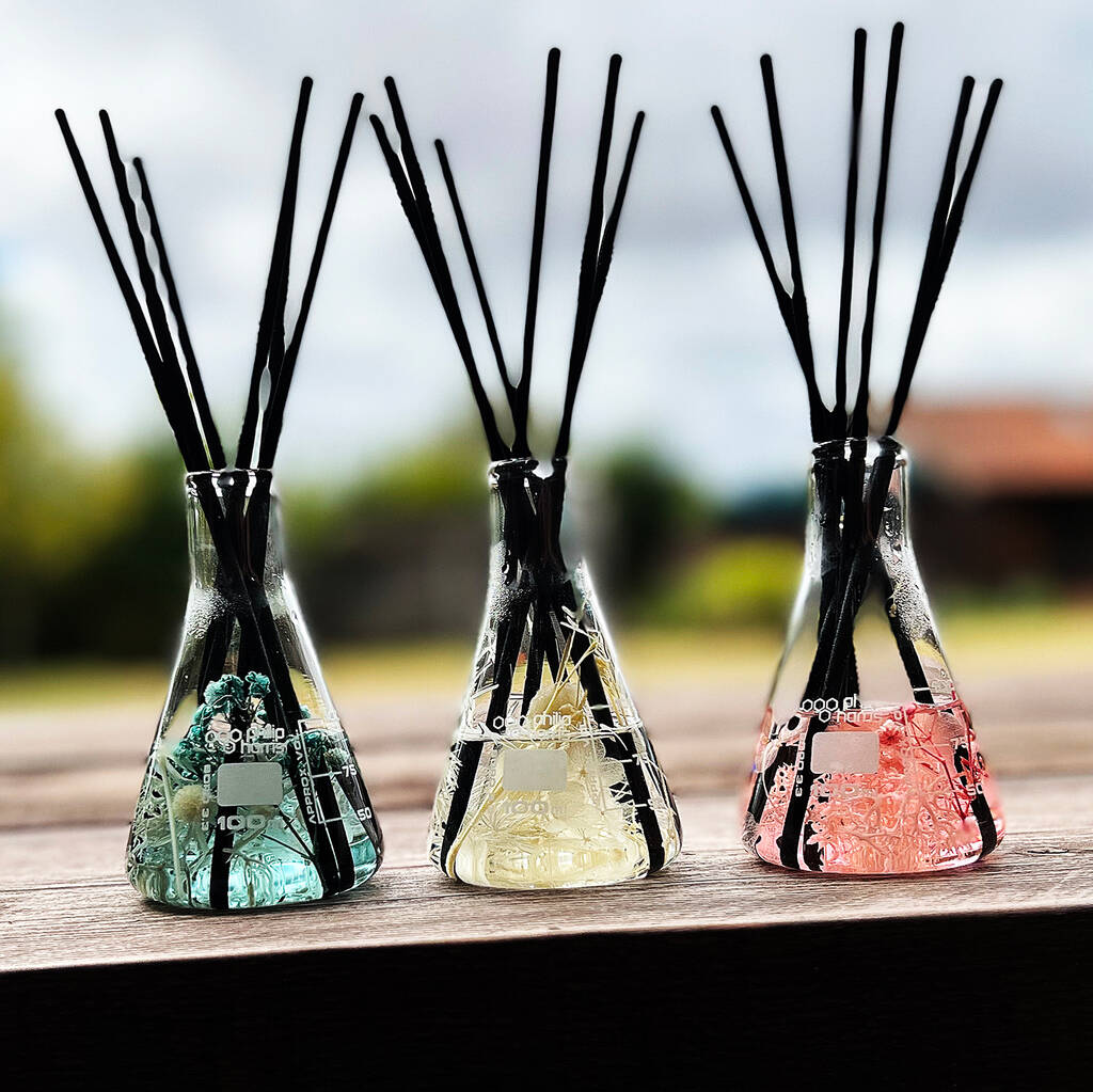Conical Flask Reed Diffuser By Zesty Lemons