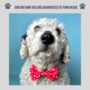 Red Valentine Heart Dog Bow Tie, thumbnail 4 of 4