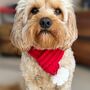 Knitted Pet Scarf, thumbnail 1 of 9
