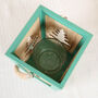 Peppermint Wooden Candle Lantern, thumbnail 6 of 8