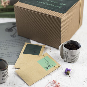 Grow Your Own Wild Flowers Kit, 4 of 9