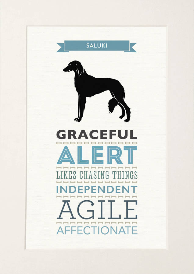 Saluki Dog Breed Traits Print By Well Bred Design ...