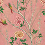 Wild Rosa Chinensis Powder Pink Wallpaper, thumbnail 2 of 4