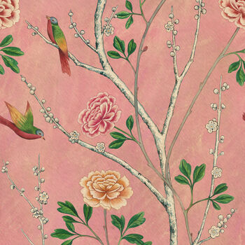 Wild Rosa Chinensis Powder Pink Wallpaper, 2 of 4