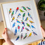 A To Z Of Colourful Birds Print, thumbnail 1 of 7