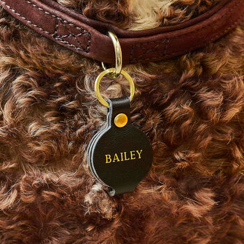 Personalised Dog Tag And Keyring Set With Photo, 4 of 9