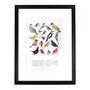 Aves British Garden Birds Art Print, thumbnail 2 of 5