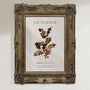 Birth Flower Wall Print 'Holly' For December, thumbnail 5 of 9
