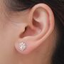 Mismatched French Bulldog And Paw Print Stud Earrings In Sterling Silver, thumbnail 2 of 12
