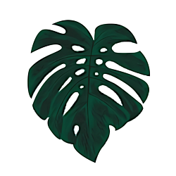 Pointless plants logo