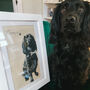 Personalised Framed Canvas Pet Portrait, thumbnail 5 of 5