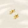 Diha 24 Carat Gold Plated Bobble Stud Earrings, thumbnail 1 of 5