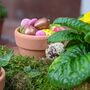 Easter And Spring Natural Tablescape In A Box, thumbnail 7 of 12