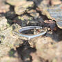 Minimalist Sterling Silver Open Ring Simple Design, thumbnail 4 of 7