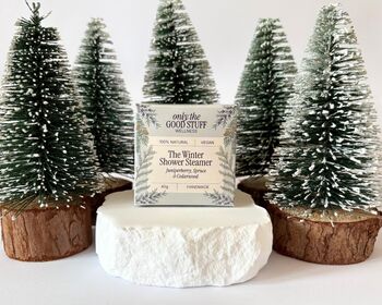 The Winter Shower Steamer, 5 of 6