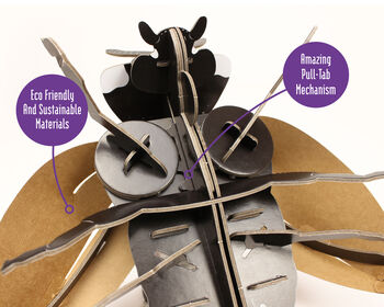 Build Your Own Ladybird, 11 of 12