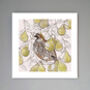 'Partridge And Pears' Print, thumbnail 1 of 3