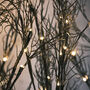 Set Of Three LED Halloween Tree Stake Branch Lights, thumbnail 5 of 7