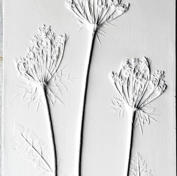 Queen Anne's Lace No.Two Plaster Cast Plaque, 2 of 4