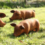 Rusty Decorative Pig, thumbnail 1 of 5