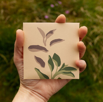 Geidwad Seeds / Sage / Salvia Officinalis, 3 of 5