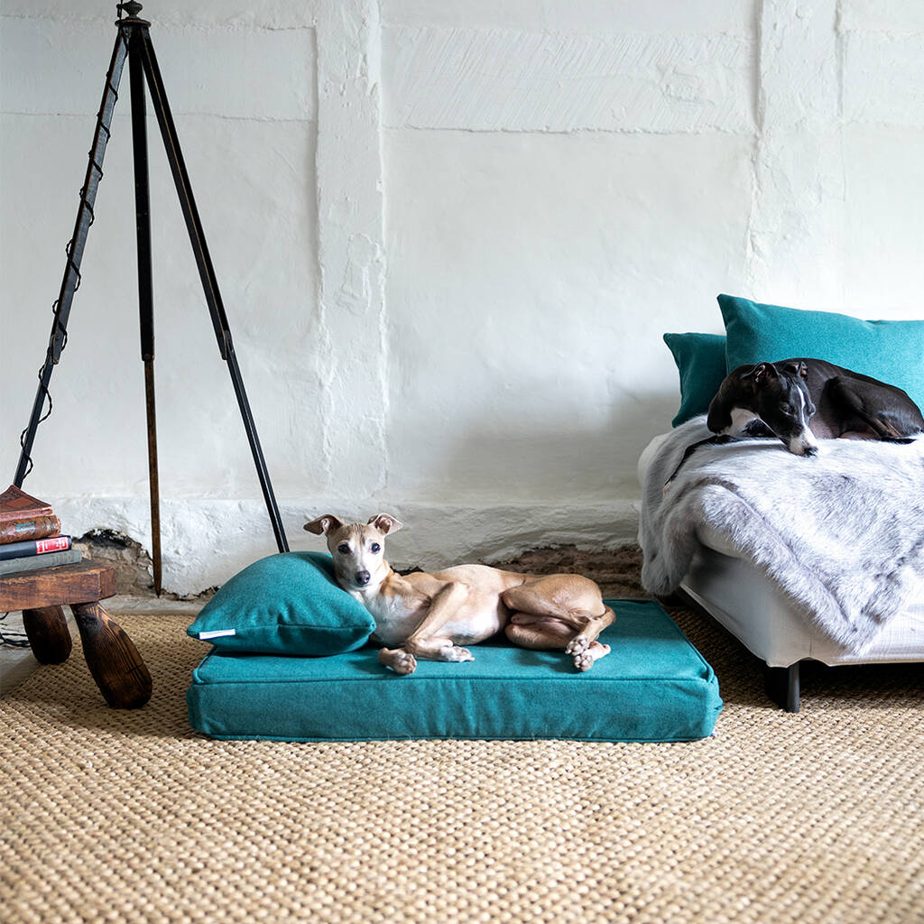 Anti Microbial Memory Foam Dog Bed Mattress And Feather Bolster Pad, 1 of 10