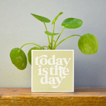 'Today Is The Day' Positivity Plant Pot And Houseplant, 7 of 7
