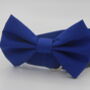 Bright Blue Dog Bow Tie, thumbnail 4 of 7