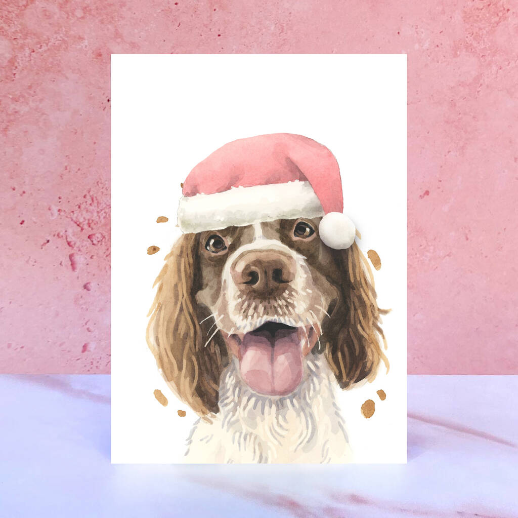 Springer Spaniel Santa Hat Pom Pom Christmas Card By Handpainted Dog ...