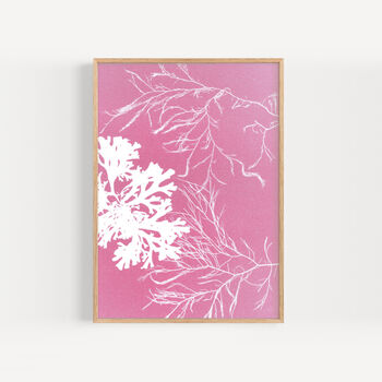 Pink Seaweed Art Print, 5 of 6