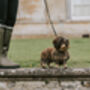 Pampeano 'Caza' Leather Dog Lead, thumbnail 3 of 5