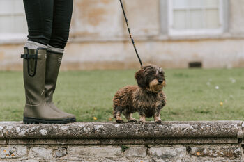 Pampeano 'Caza' Leather Dog Lead, 3 of 5