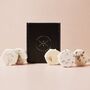 Aromatherapy Shower Steamers, thumbnail 2 of 12
