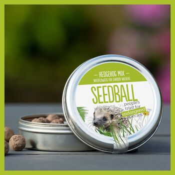 Hedgehog Seedball Wildflower Seed Ball Mix Tin, 10 of 10