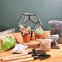 Black Geometric Terrarium Kit With Succulent, thumbnail 10 of 11