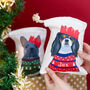 Personalised Party Dog Xmas Treat And Gift Bag, thumbnail 1 of 12