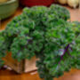 Kale 'Red Russian' Six X Plug Plant Pack, thumbnail 5 of 5