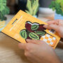 Calathea Unkillable Houseplant Pop Out Card, thumbnail 2 of 4