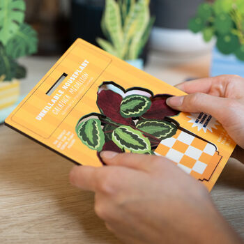 Calathea Unkillable Houseplant Pop Out Card, 2 of 4