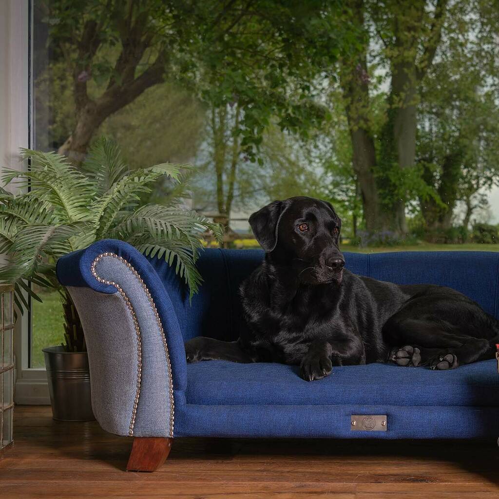 Luxury Fabric Sofa Dog Bed By Filthy animal
