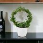 Hedera Ivy Hoop Air Purifying Houseplant In 12cm Pot, thumbnail 7 of 7